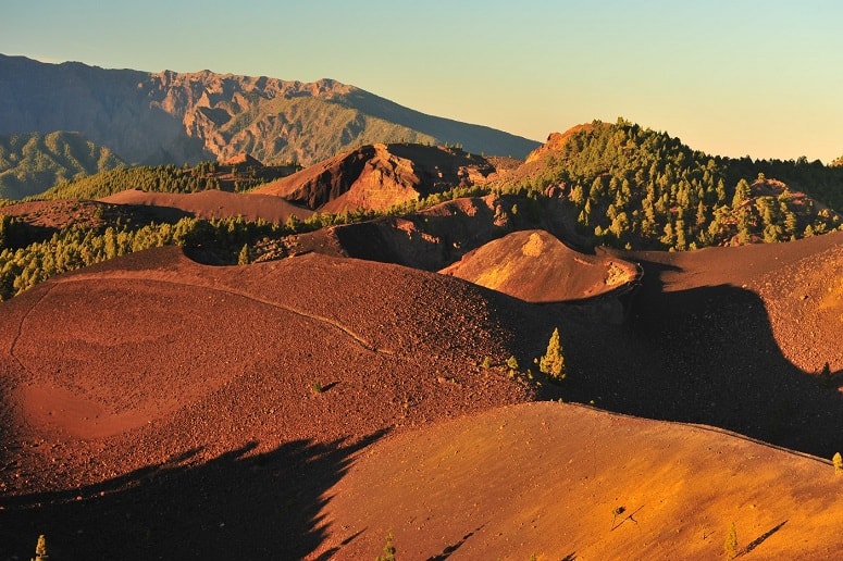 Private Tour Cumbrecita Vulkane La Palma Private Touren Gettivity